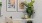 a room with a white couch and a table with a plant on it