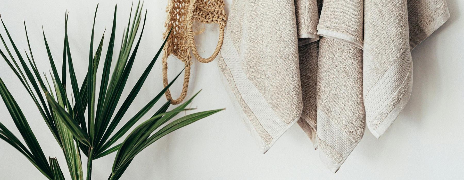 towels hanging on a wall near a plant